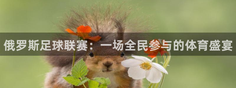 俄罗斯足球联赛：一场全民参与的体育盛宴