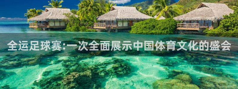 全运足球赛:一次全面展示中国体育文化的盛会
