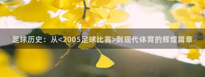  足球历史：从<2005足球比赛>到现代体育的辉煌篇章