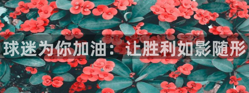  球迷为你加油：让胜利如影随形
