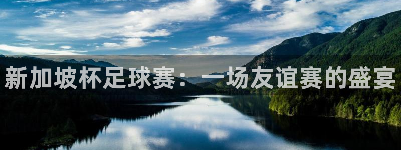 新加坡杯足球赛：一场友谊赛的盛宴