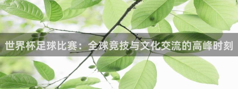 世界杯足球比赛：全球竞技与文化交流的高峰时刻