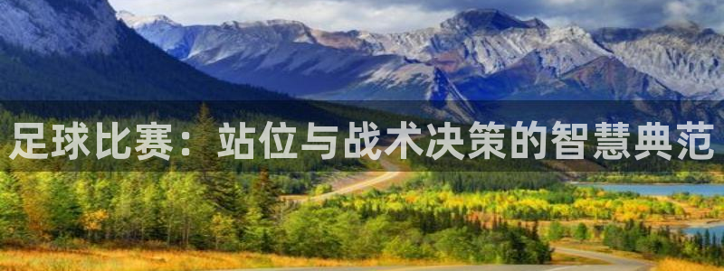  足球比赛：站位与战术决策的智慧典范