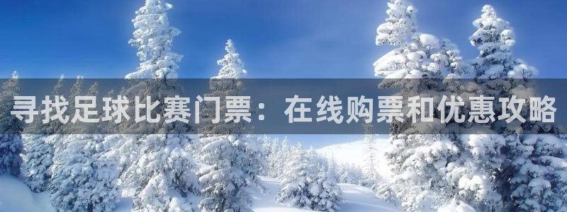 寻找足球比赛门票：在线购票和优惠攻略