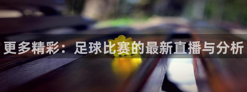 更多精彩：足球比赛的最新直播与分析