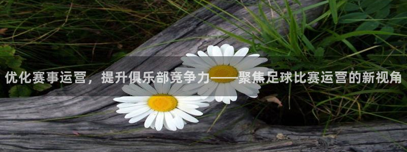 优化赛事运营，提升俱乐部竞争力——聚