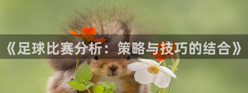 《足球比赛分析：策略与技巧的结合》