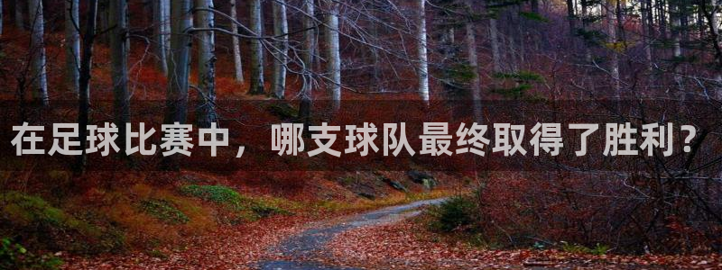 在足球比赛中，哪支球队最终取得了胜利