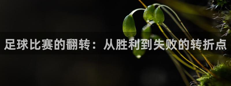 足球比赛的翻转：从胜利到失败的转折点