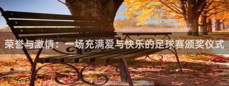 荣誉与激情：一场充满爱与快乐的足球赛