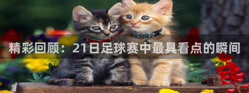 精彩回顾：21日足球赛中最具看点的瞬