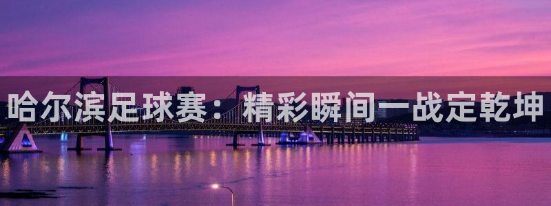 哈尔滨足球赛：精彩瞬间一战定乾坤
