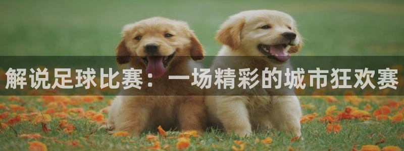 解说足球比赛：一场精彩的城市狂欢赛