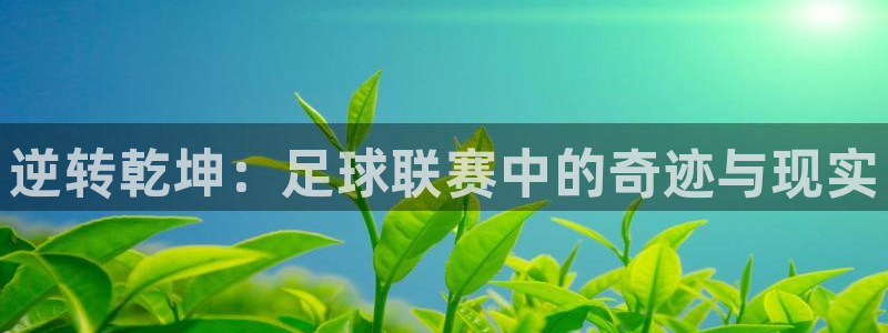 逆转乾坤：足球联赛中的奇迹与现实