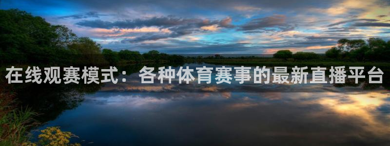 在线观赛模式：各种体育赛事的最新直播平台