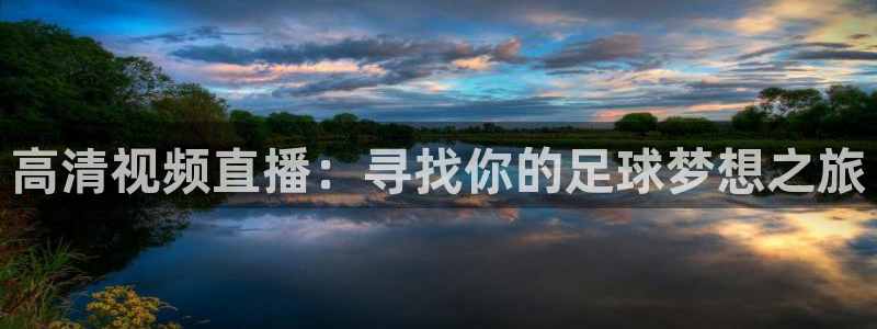 高清视频直播：寻找你的足球梦想之旅