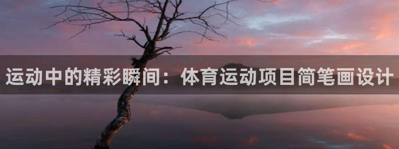 哈哈体育十年：运动中的精彩瞬间：体育运动项目简笔画设计