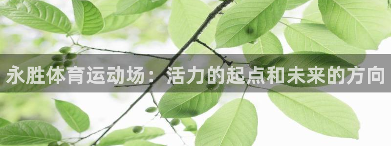 哈哈体育下载：永胜体育运动场：活力的起点和未来的方向