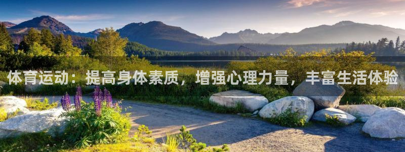 哈哈体育十年：体育运动：提高身体素质，增强心理力量，丰富生活体验