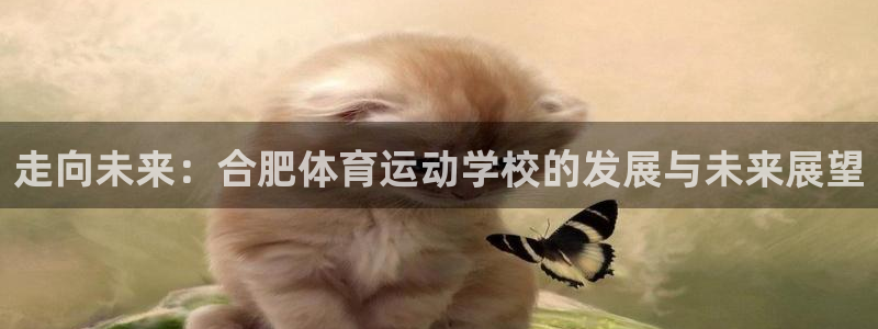 哈哈体育下载：走向未来：合肥体育运动学校的发展与未来展望