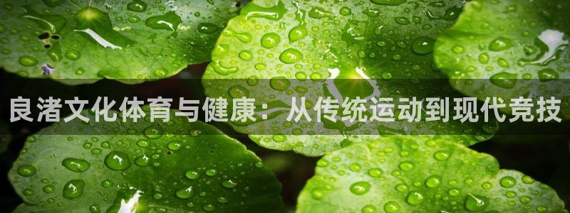 哈哈体育：良渚文化体育与健康：从传统运动到现代竞技